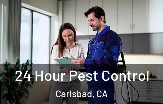  24 Hour Pest Control Carlsbad, CA