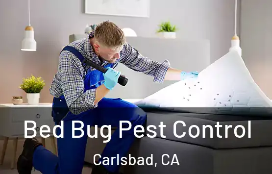  Bed Bug Pest Control Carlsbad, CA