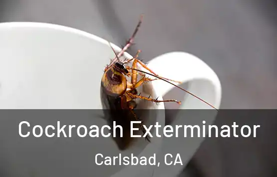  Cockroach Exterminator Carlsbad, CA