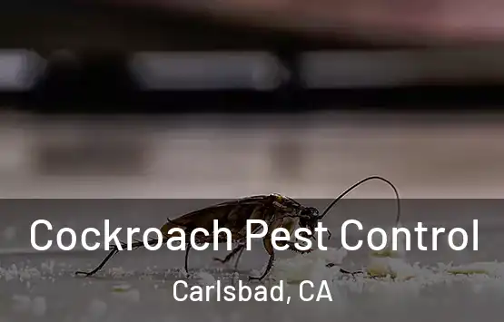  Cockroach Pest Control Carlsbad, CA