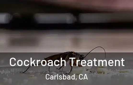  Cockroach Treatment Carlsbad, CA