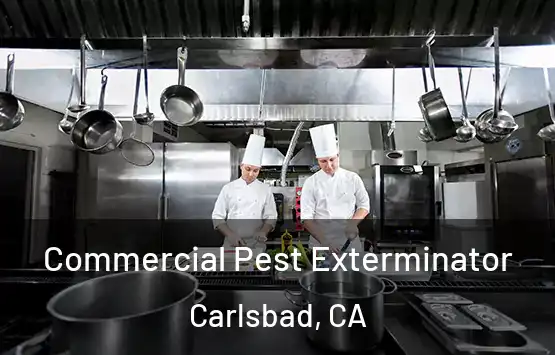 Commercial Pest Exterminator Carlsbad, CA