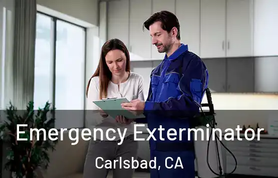  Emergency Exterminator Carlsbad, CA