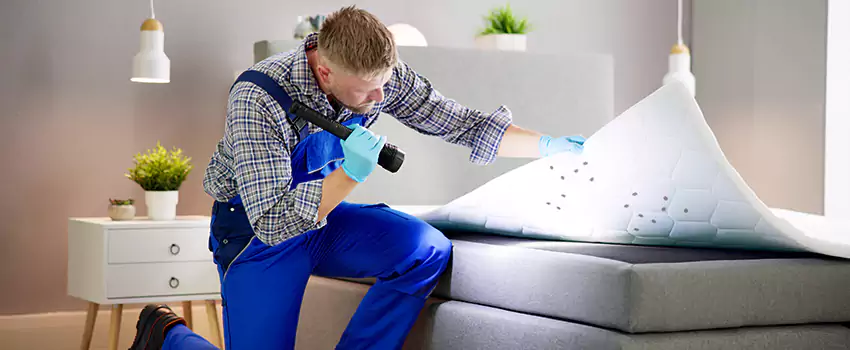 bed-bug-treatment in Carlsbad, CA