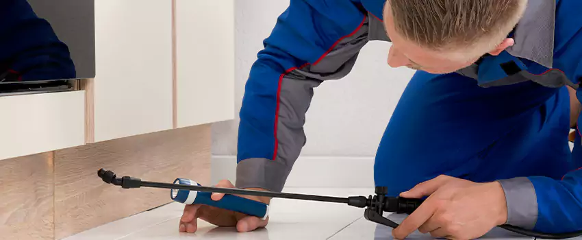 Commercial Pest Control for Offices in Carlsbad, CA