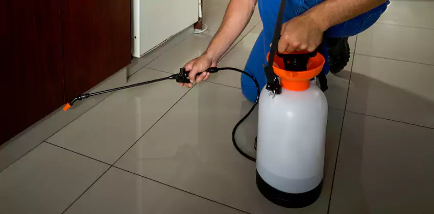 Commercial Pest Extermination for Offices in Carlsbad, CA