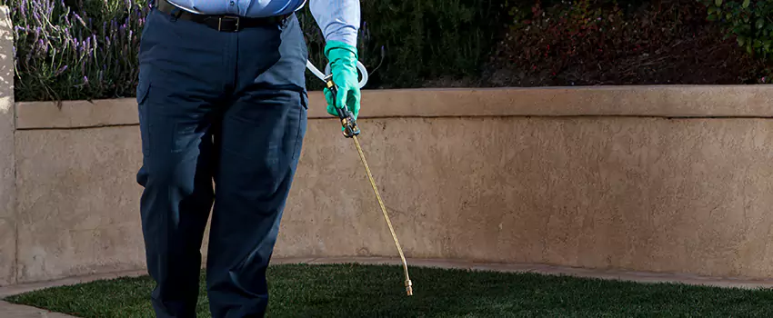 Emergency Pest Extermination for Children and Pets Carlsbad, CA