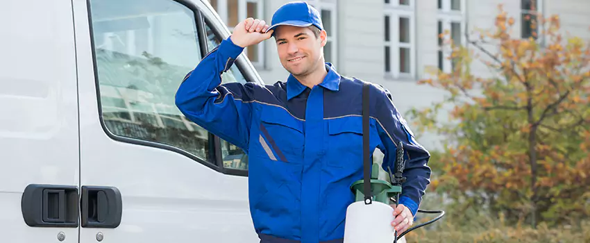 Organic and Chemical Spider Control Options Carlsbad, CA