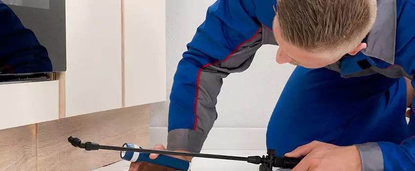 Termite Control for Children and Pets in Carlsbad, CA