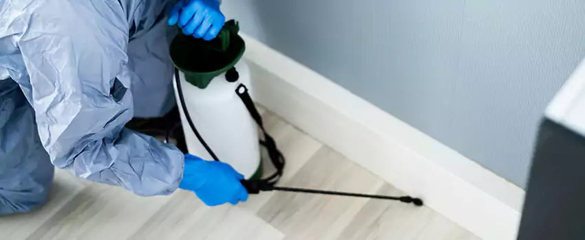 cockroach-exterminator in Carlsbad, CA