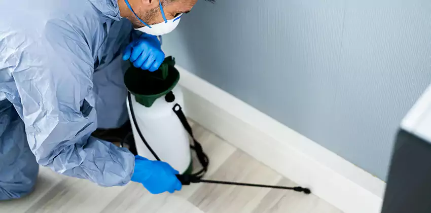 commercial-pest-exterminator in Carlsbad, CA