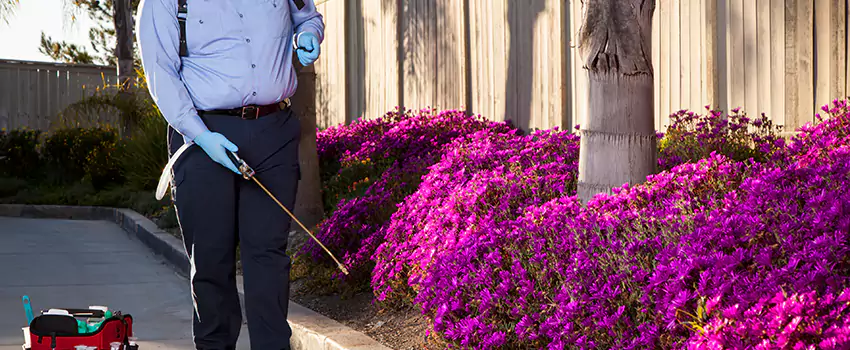 flea-exterminator in Carlsbad, CA