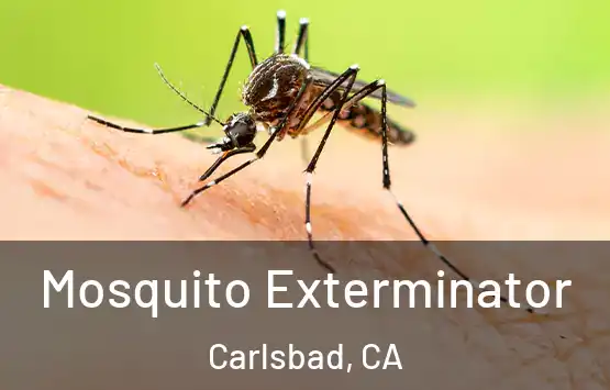  Mosquito Exterminator Carlsbad, CA