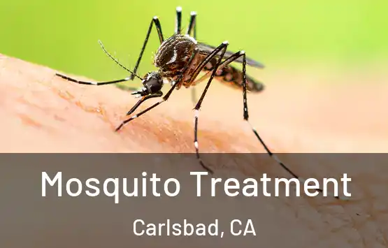  Mosquito Treatment Carlsbad, CA