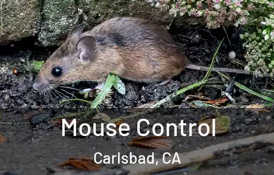  Mouse Control Carlsbad, CA