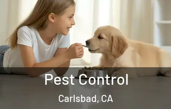  Pest Control Carlsbad, CA