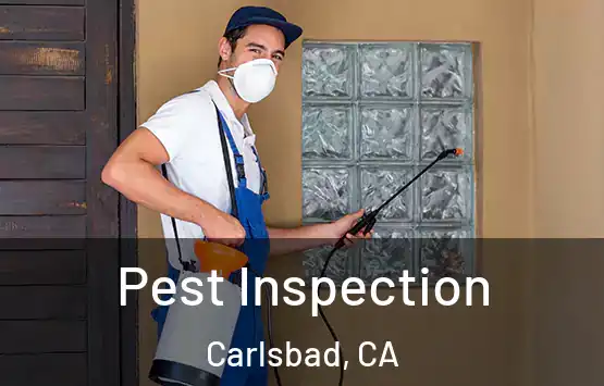  Pest Inspection Carlsbad, CA