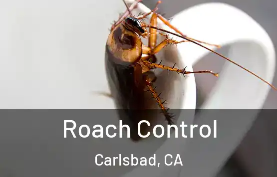  Roach Control Carlsbad, CA