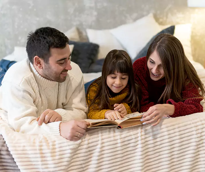 About Bed Bug Pest Control Carlsbad