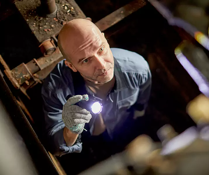 About Pest Inspection Carlsbad