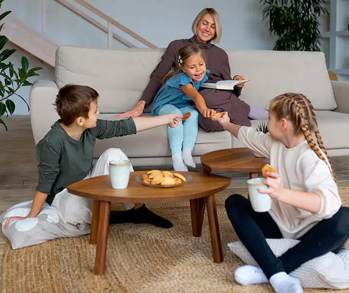 About Spider Exterminator Carlsbad