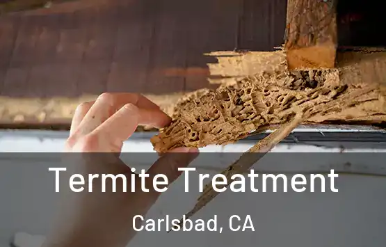  Termite Treatment Carlsbad, CA