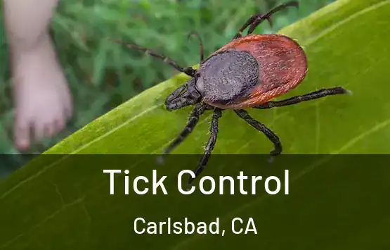  Tick Control Carlsbad, CA