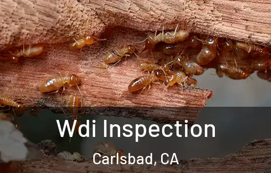  Wdi Inspection Carlsbad, CA